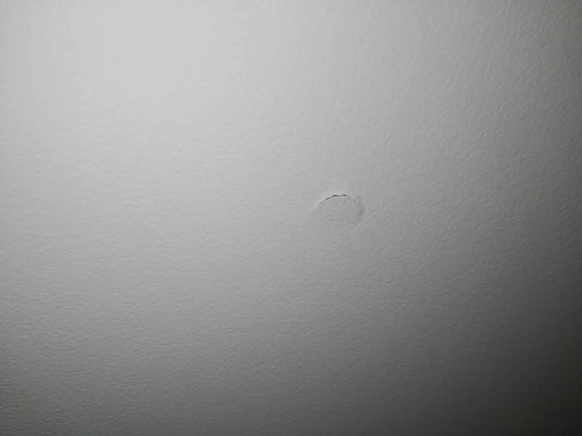 schraubenkopf-arbeitet-sich-aus-gipskarton-354995-1.jpg
