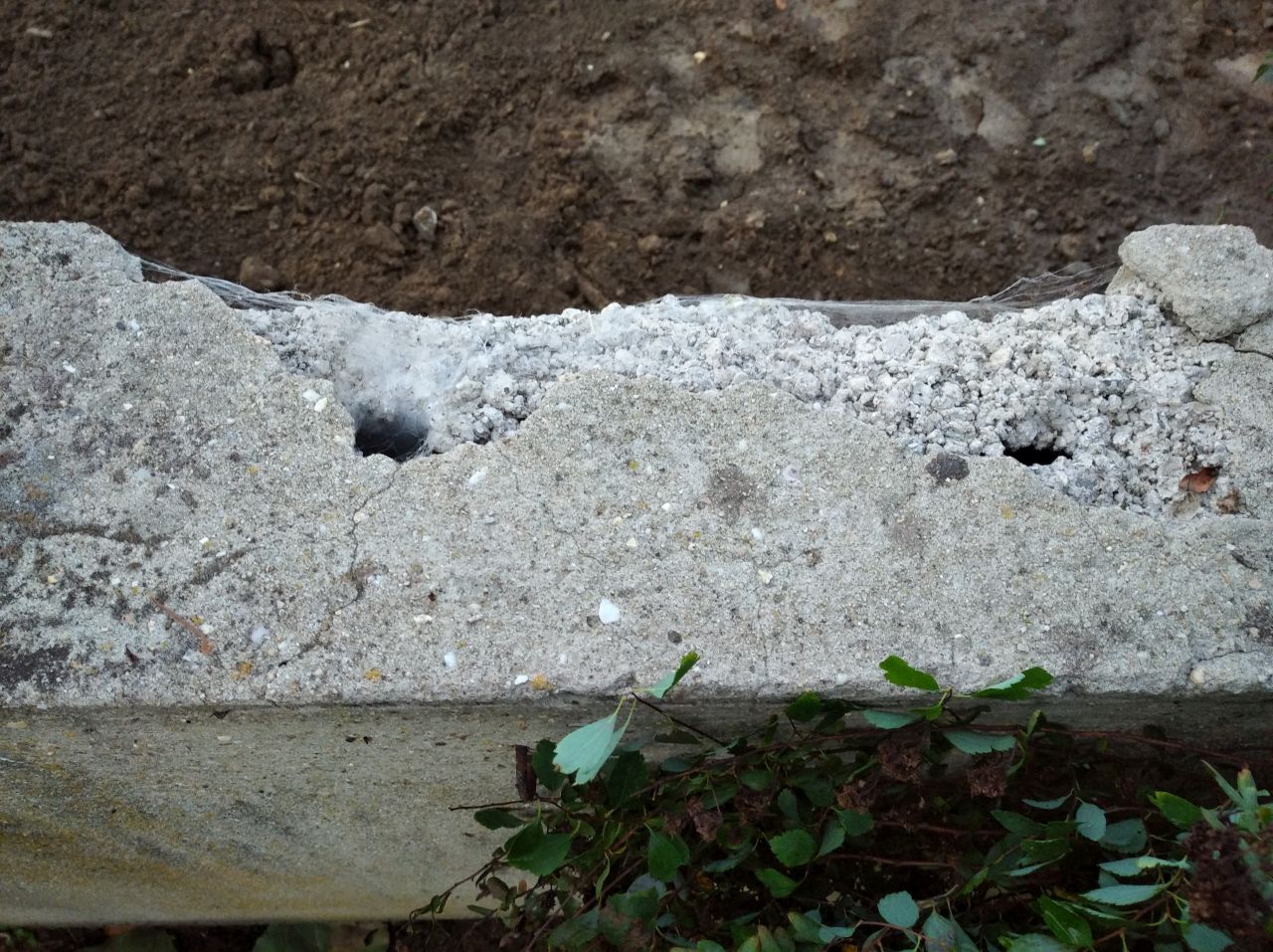 schutz-vor-angeschuetteter-erde-an-gartenmauerputz-526058-2.jpg
