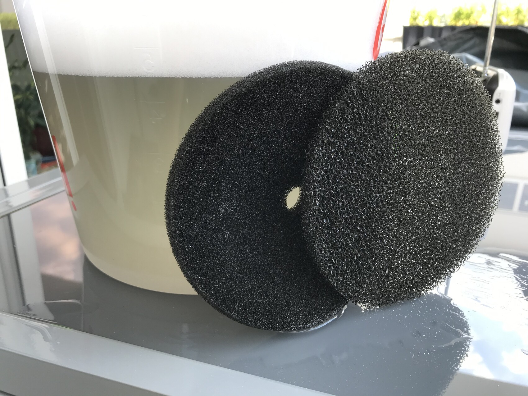 Zwei runde, schwarze Filterschwämme vor einem transparenten Behälter mit milchigem Wasser.