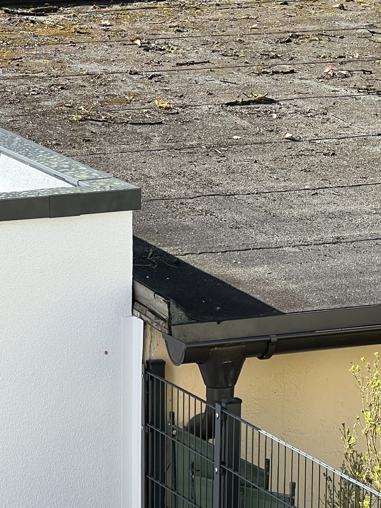 Flachdach mit Laub, Regenrinne am Rand, weiße Wand und Metallzaun.
