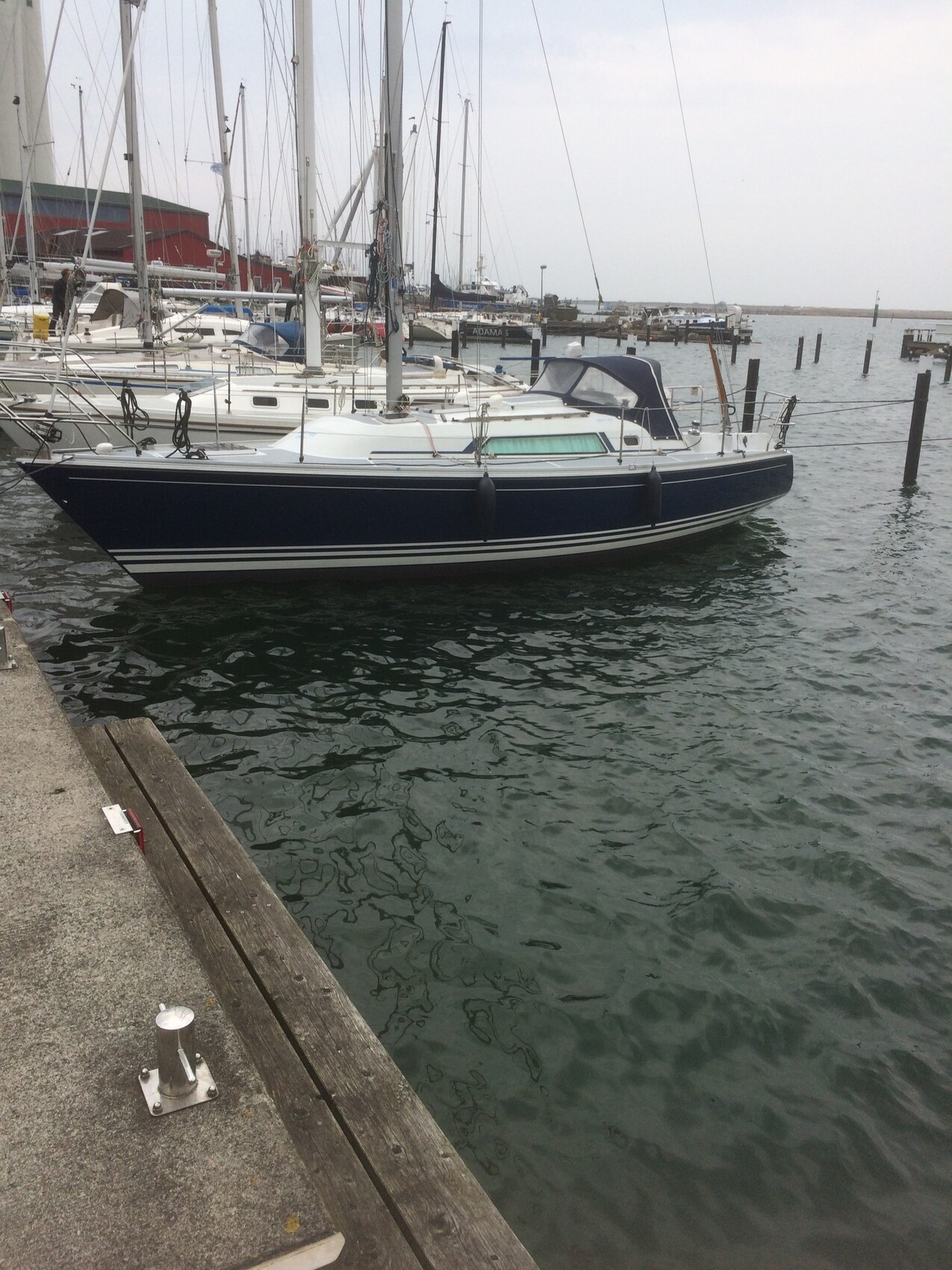 Hafen mit Segelbooten am Steg, Masten ragen in den Himmel, ruhiges Wasser.