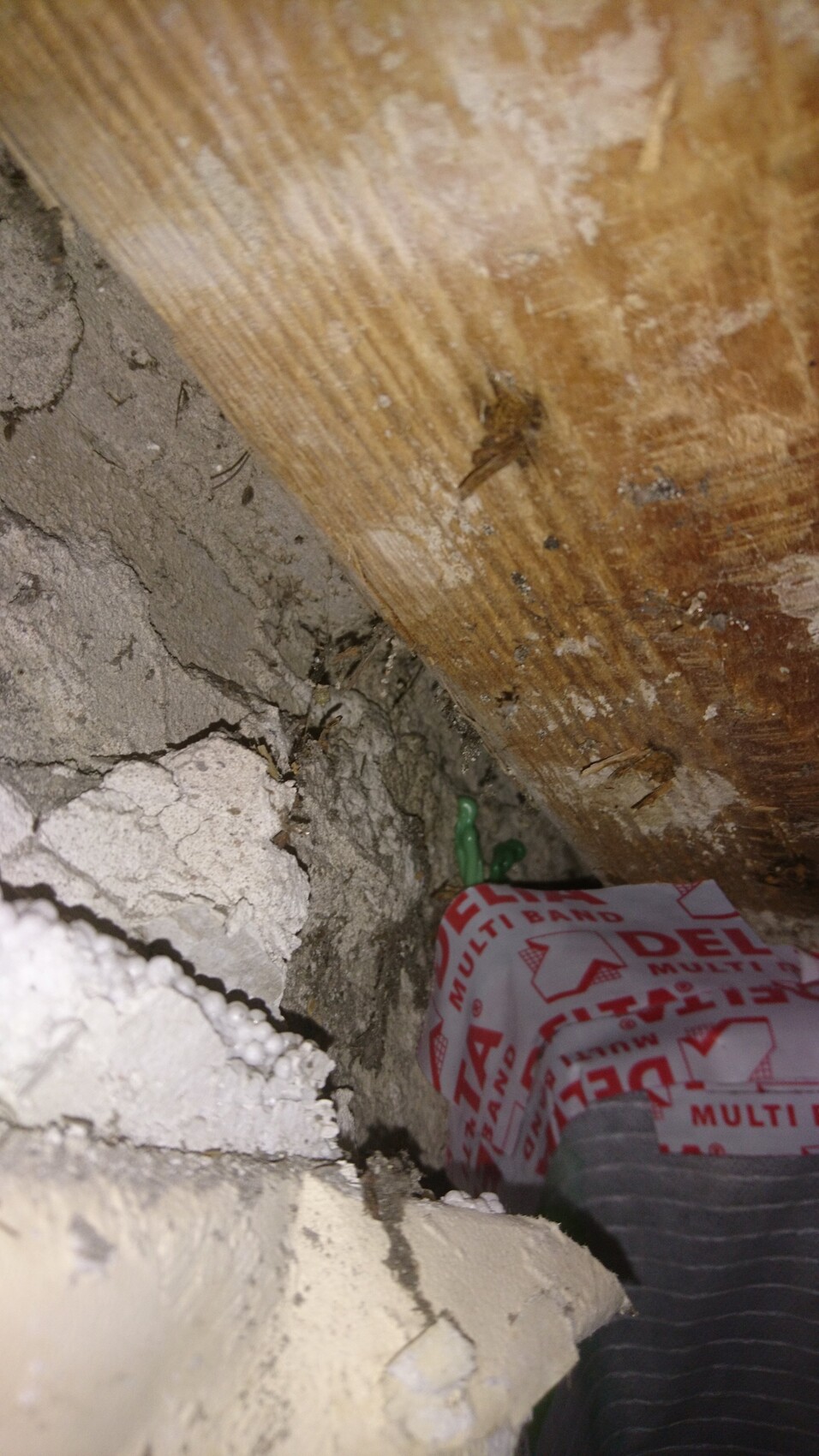 Enge Ecke mit Holzbalken, bröckelnder Putz, Betonstaub und grünem Kunststoffteil.