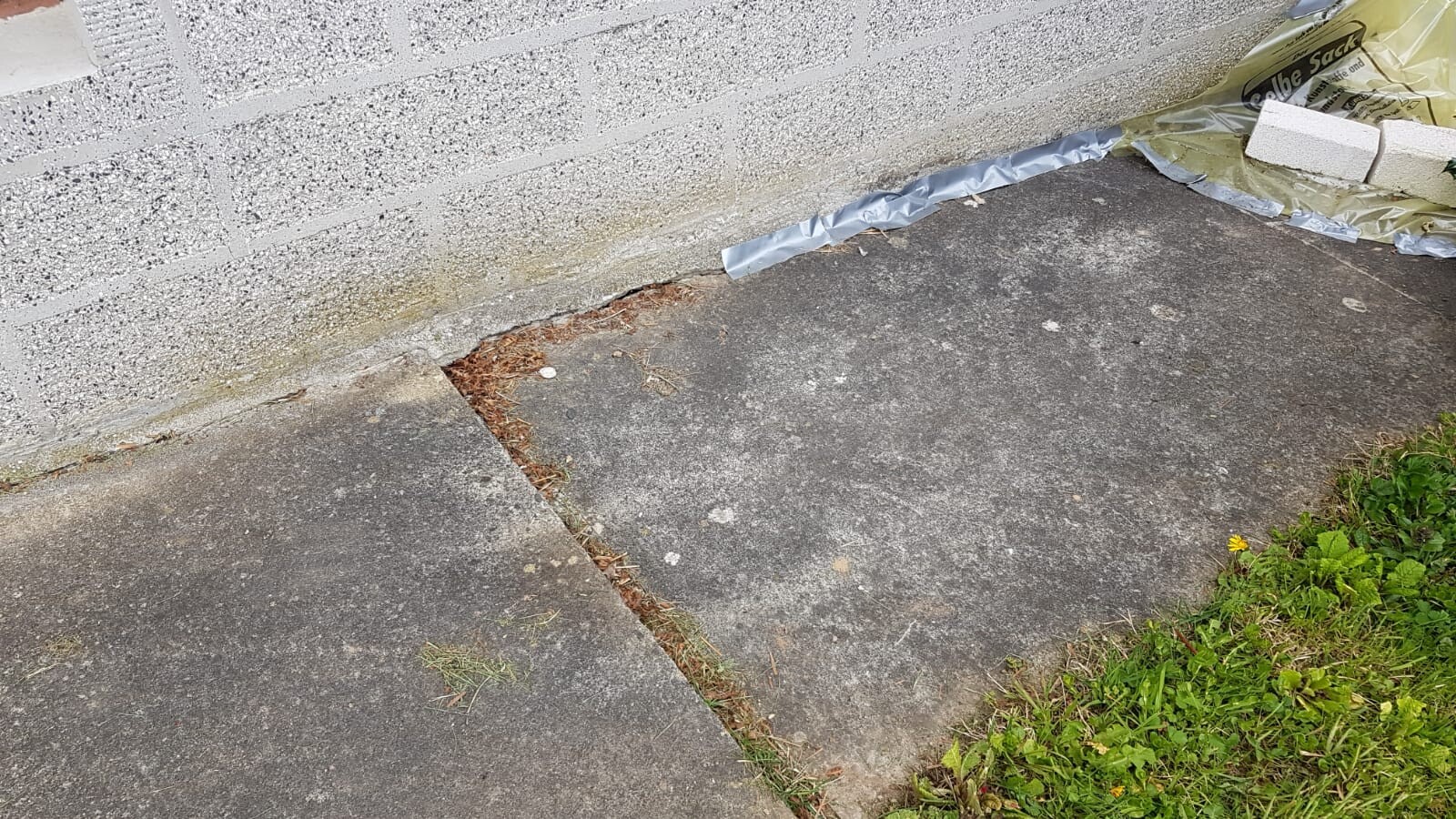 Betonplattenweg vor Hauswand; Riss mit Erde und Nadeln, Gras wächst; Plastikfolie und Steine liegen.