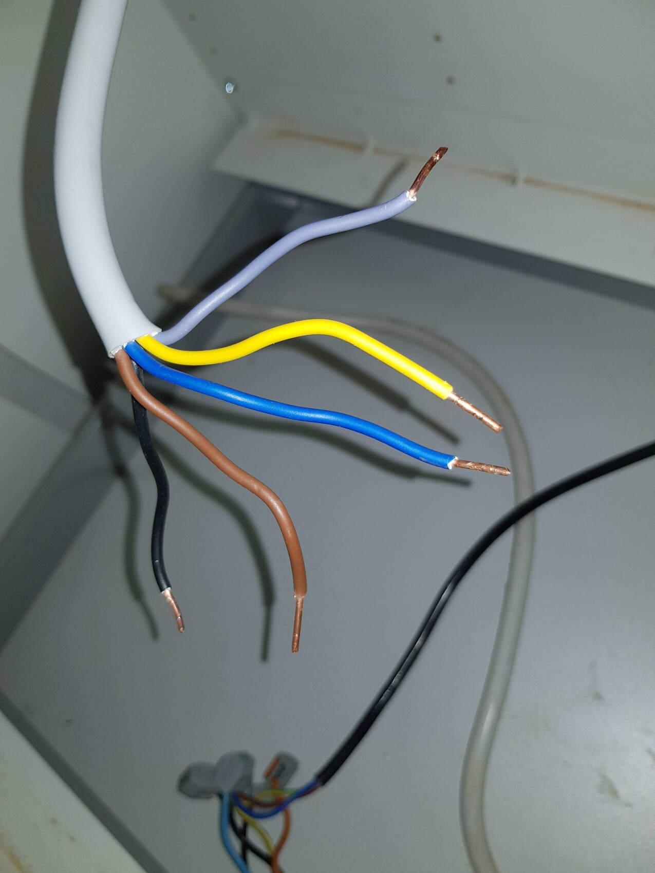 Freiliegende Kupferdrähte eines mehradrigen Kabels mit gelben, blauen, braunen und schwarzen Leitern.
