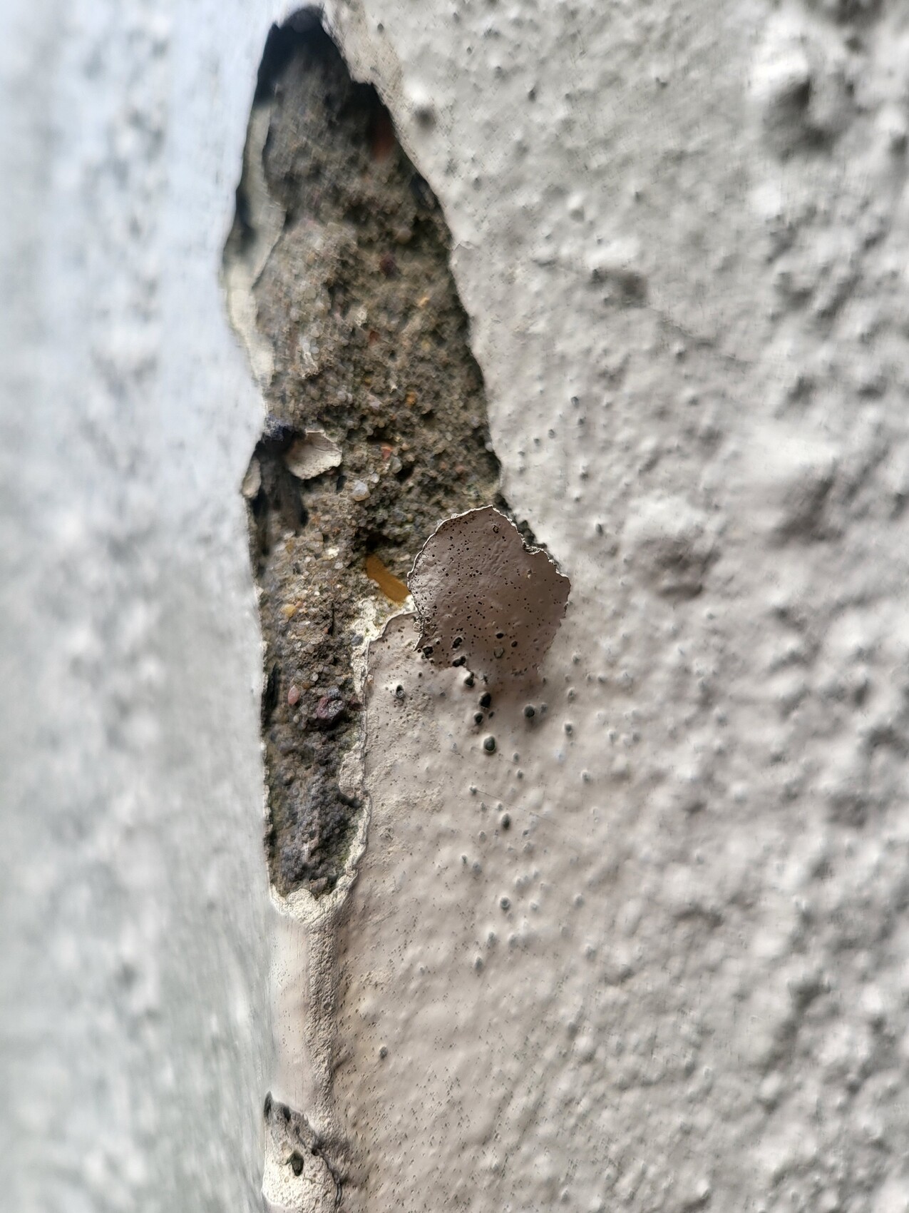 Nahaufnahme einer beschädigten Betonwand: offener Riss und braun abblätternde Schicht.