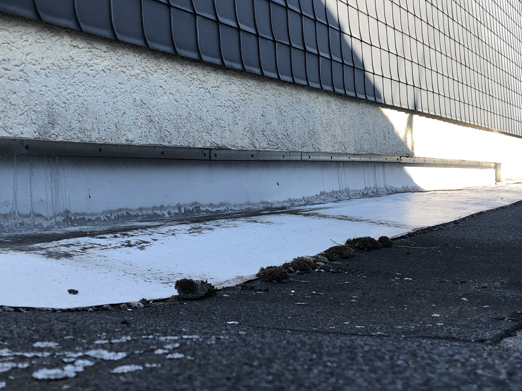 Tiefer Blick auf Gebäudewand: rauer Putz, darunter weiße Dichtbahn am Fundament neben Asphalt.