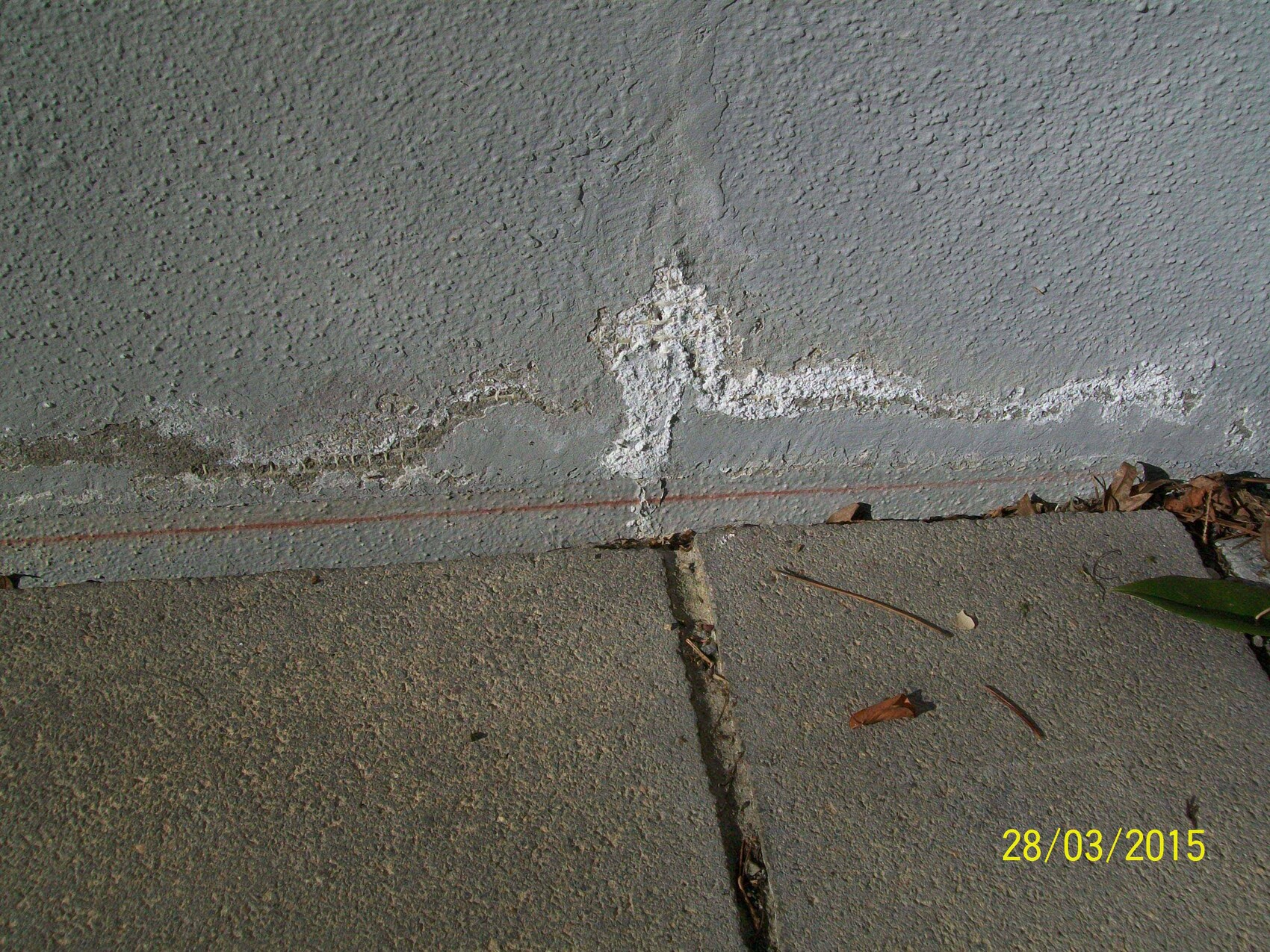 Weiße Salzkruste zieht sich horizontal an der verputzten Wand ueber dem Betonpflaster, Herbstlaub