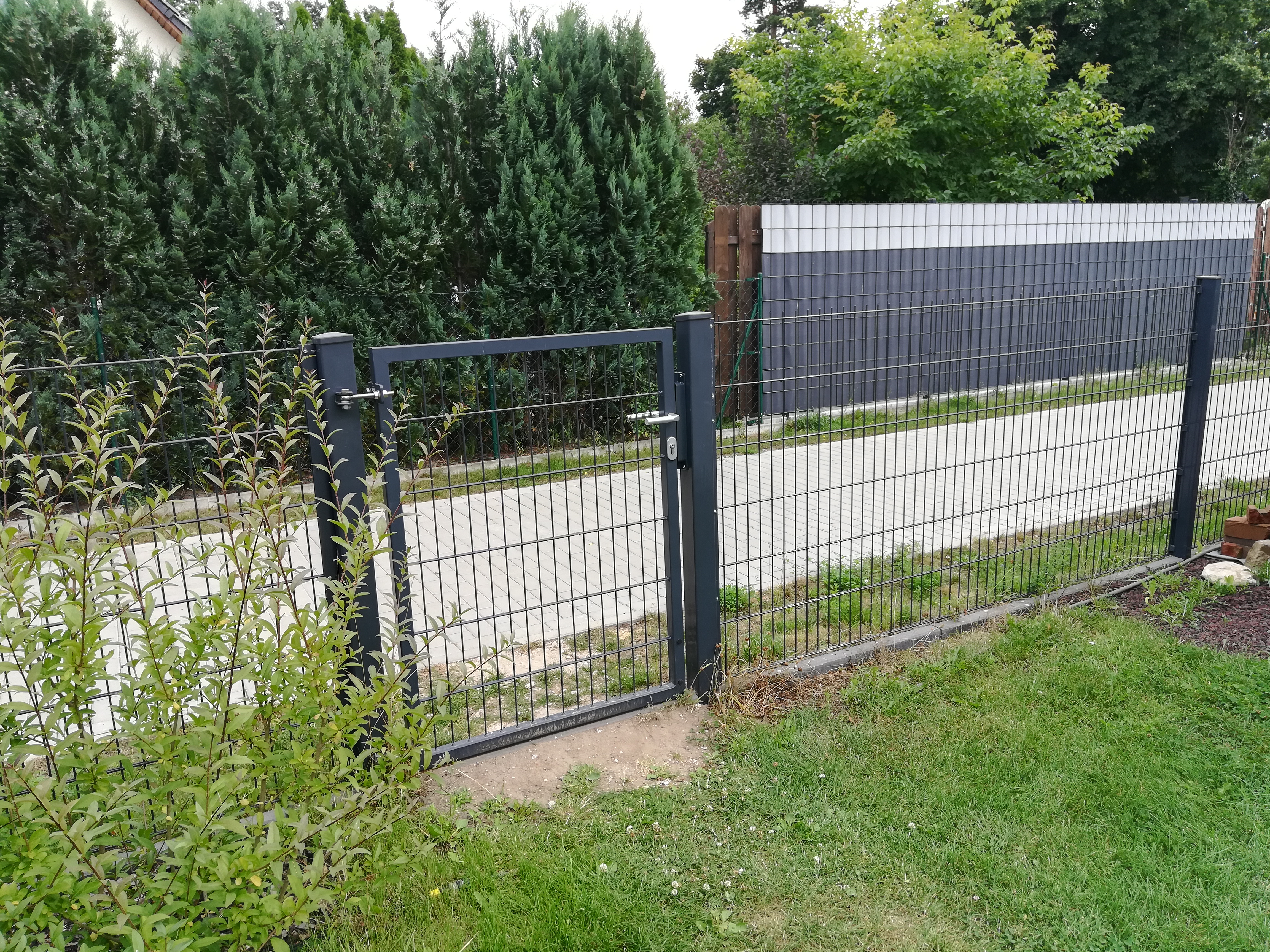 sichtschutz-zum-angrenzenden-weg-515257-1.jpg