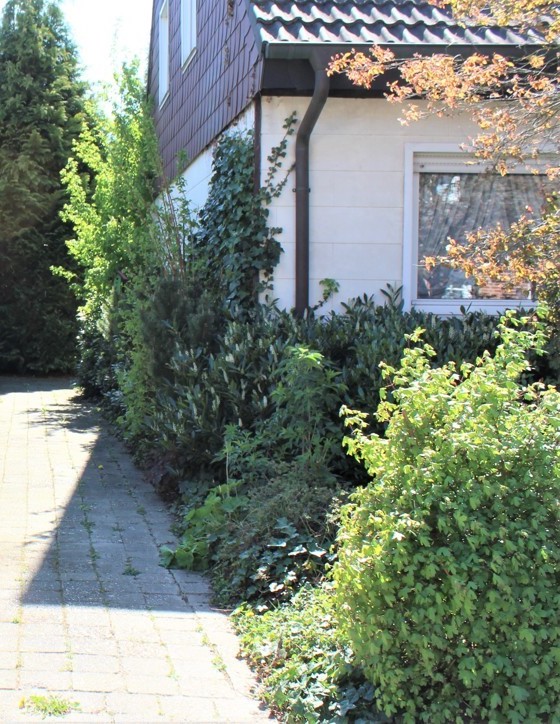 siedlungshaus-1947-in-holzstaenderbauweise-lohnt-sanierung-405949-1.jpeg