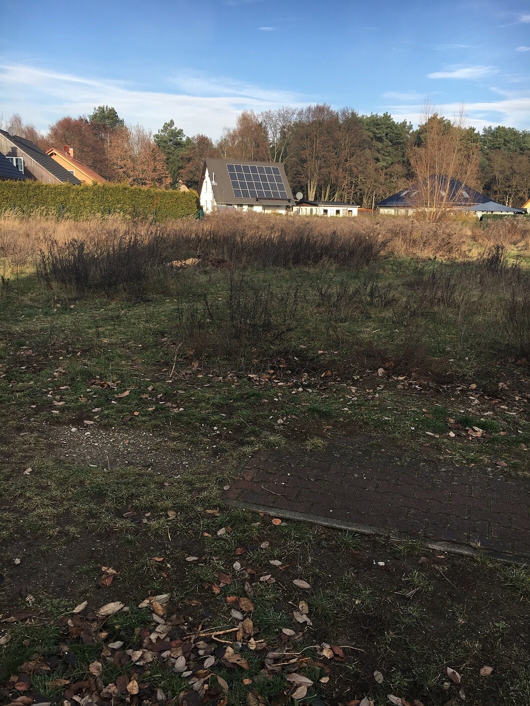 Haus mit Solarpanelen auf dem Dach in einer Wohnsiedlung mit Bäumen