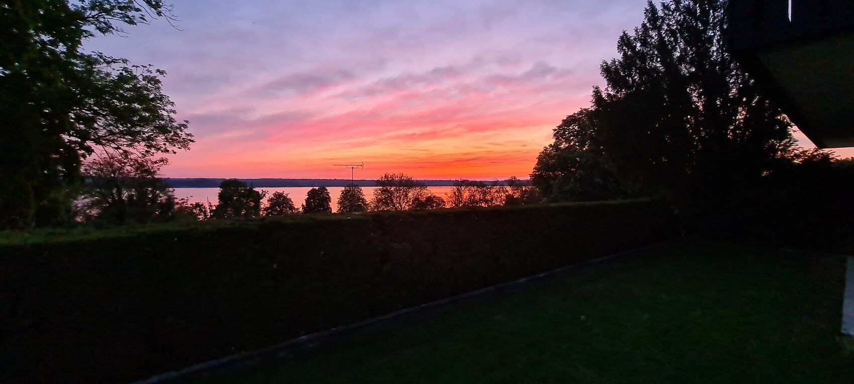Abendlicher Sonnenuntergang über See, Silhouetten von Bäumen und Hecke im Garten.