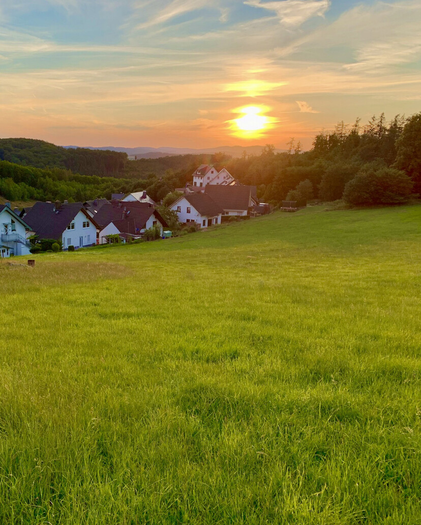 Sonnenuntergang über einer Häuserzeile am grünen Feld, Wald im Hintergrund.