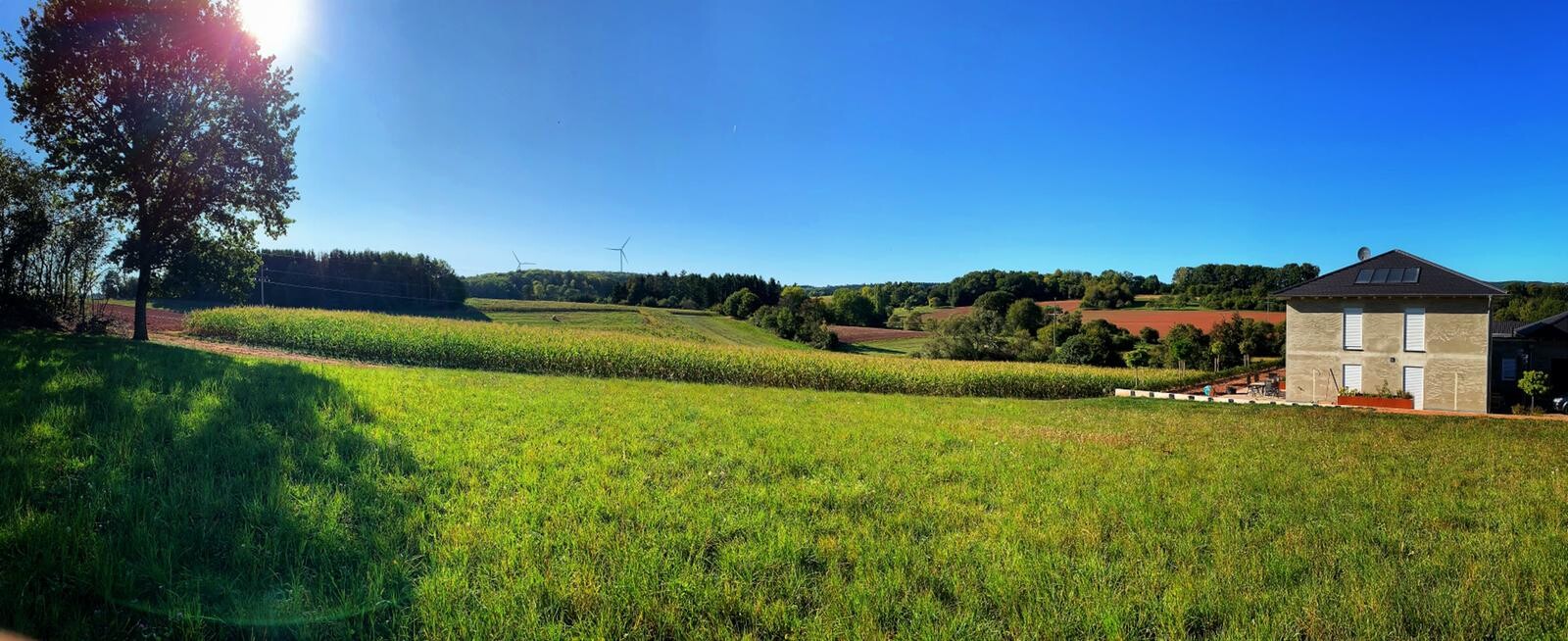 Grünes Feld im Vordergrund, links Baumgruppe, Windräder im Hintergrund, helles Haus rechts.