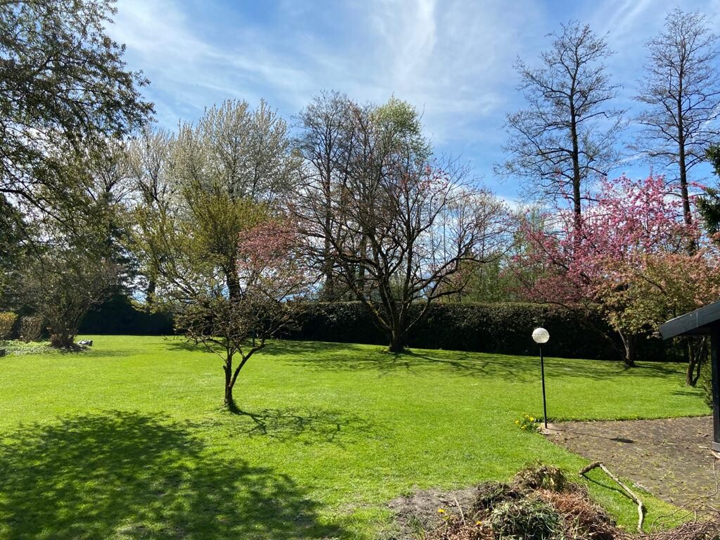 Garten mit grünem Rasen, blühenden Bäumen, dichter Hecke im Hintergrund, Laterne und Terrasse rechts.