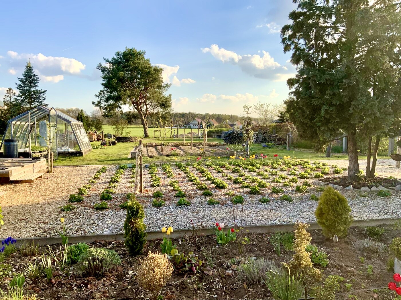 Garten mit Glas-Gewächshaus links, Reihen junger Pflanzen, Blumenbeete und Bäume im Hintergrund.