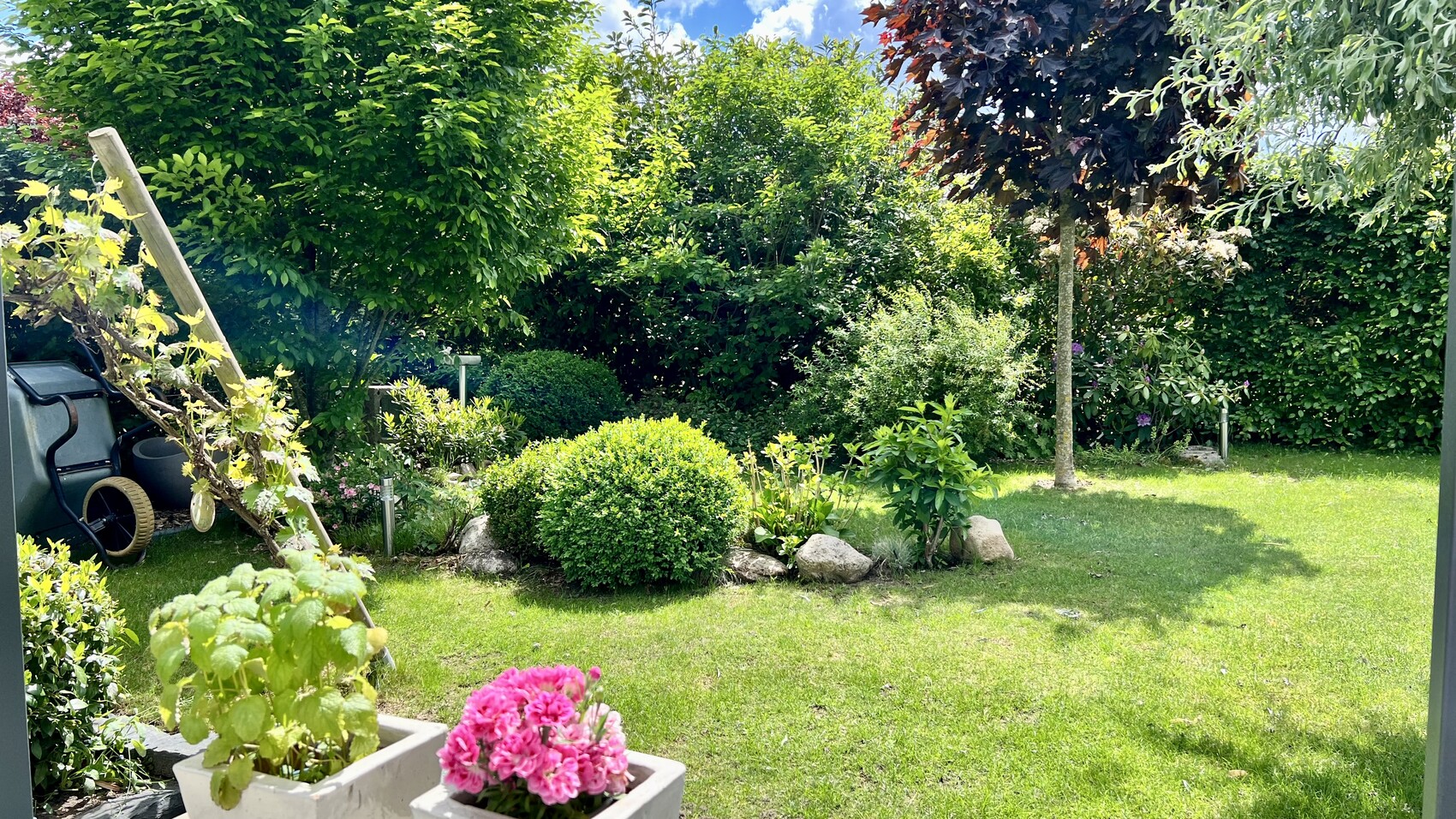 Garten mit grünem Rasen, dichten Sträuchern, Bäumen und zwei Topfpflanzen im Vordergrund.