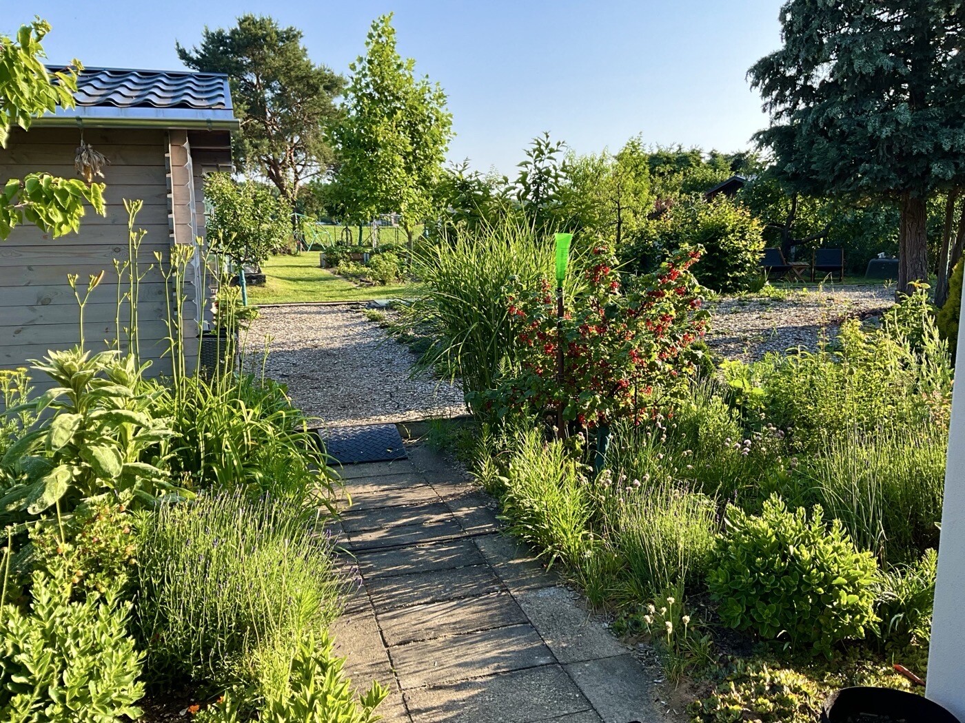 Gartenweg mit Holzhaus links, Steinplattenweg, üppige Pflanzen, Sträucher und Bäume.