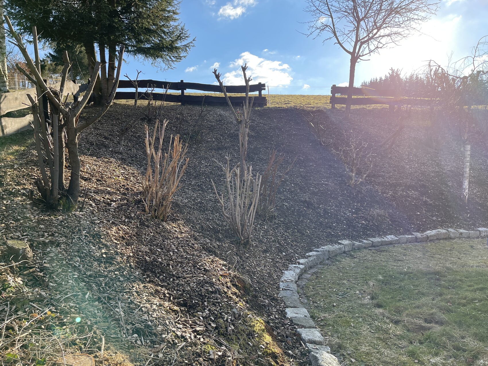 Hanglage mit kahlen Sträuchern, Mulchboden, kurviger Steinrand und Holzzäune im Hintergrund, Sonne.