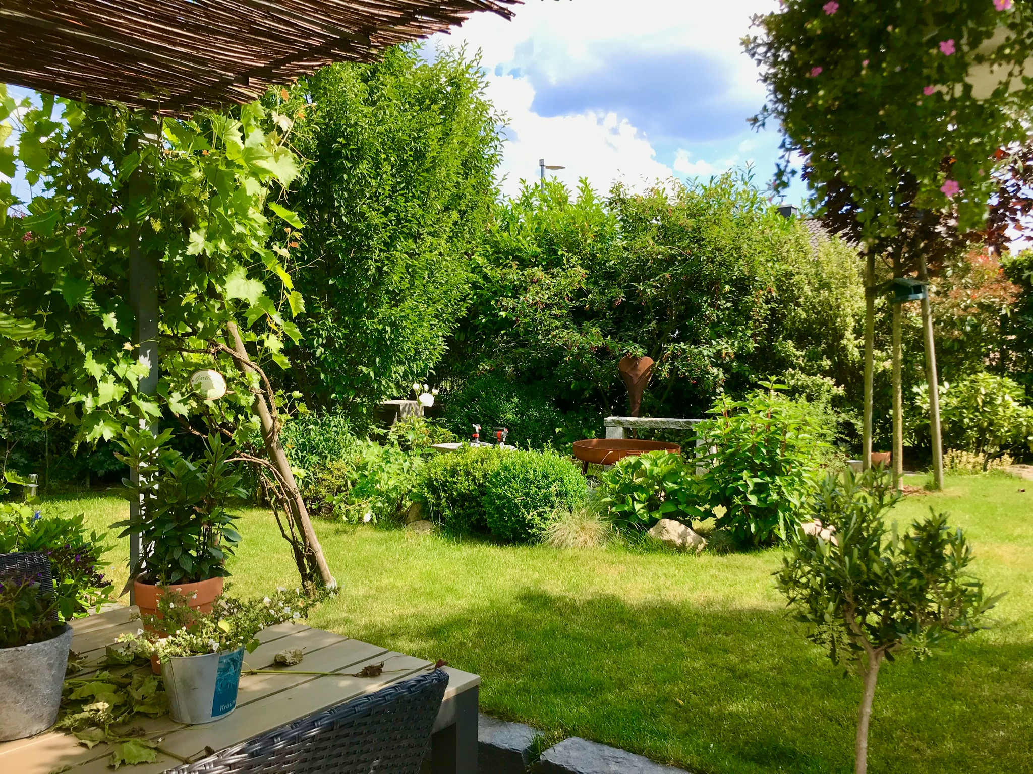 sonniger-gruen-garten-mit-pflanzen-terrasse-sitzgruppe.jpeg