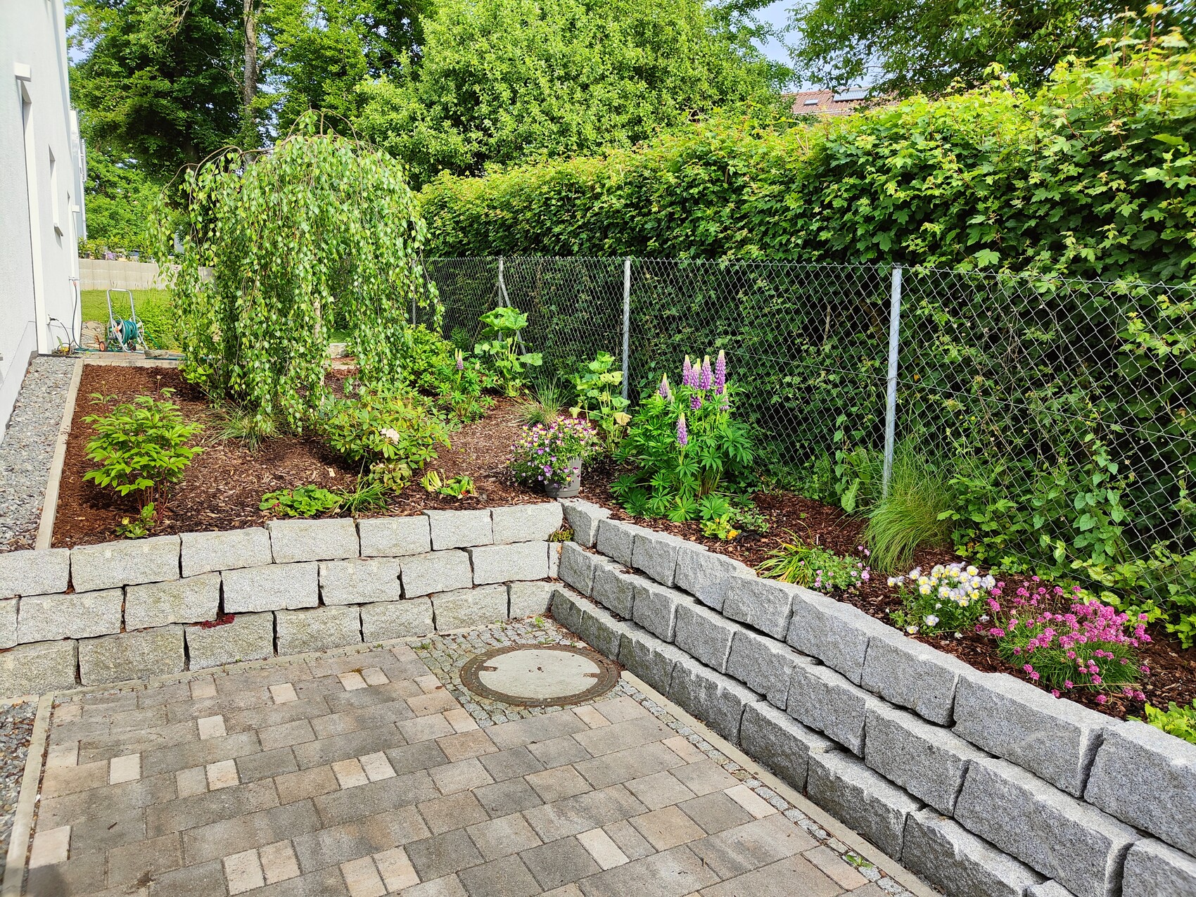 Garten mit hängender Weide über Steinmauer, bunte Beetpflanzen und Kletterpflanzen am Zaun.