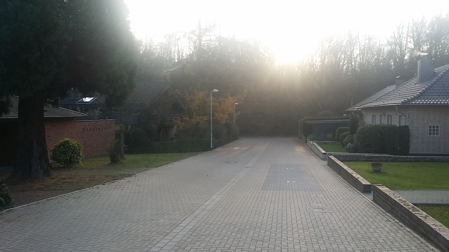 Straßenansicht eines ruhigen Wohnviertels mit Häusern, Bäumen und Sonnenlicht.
