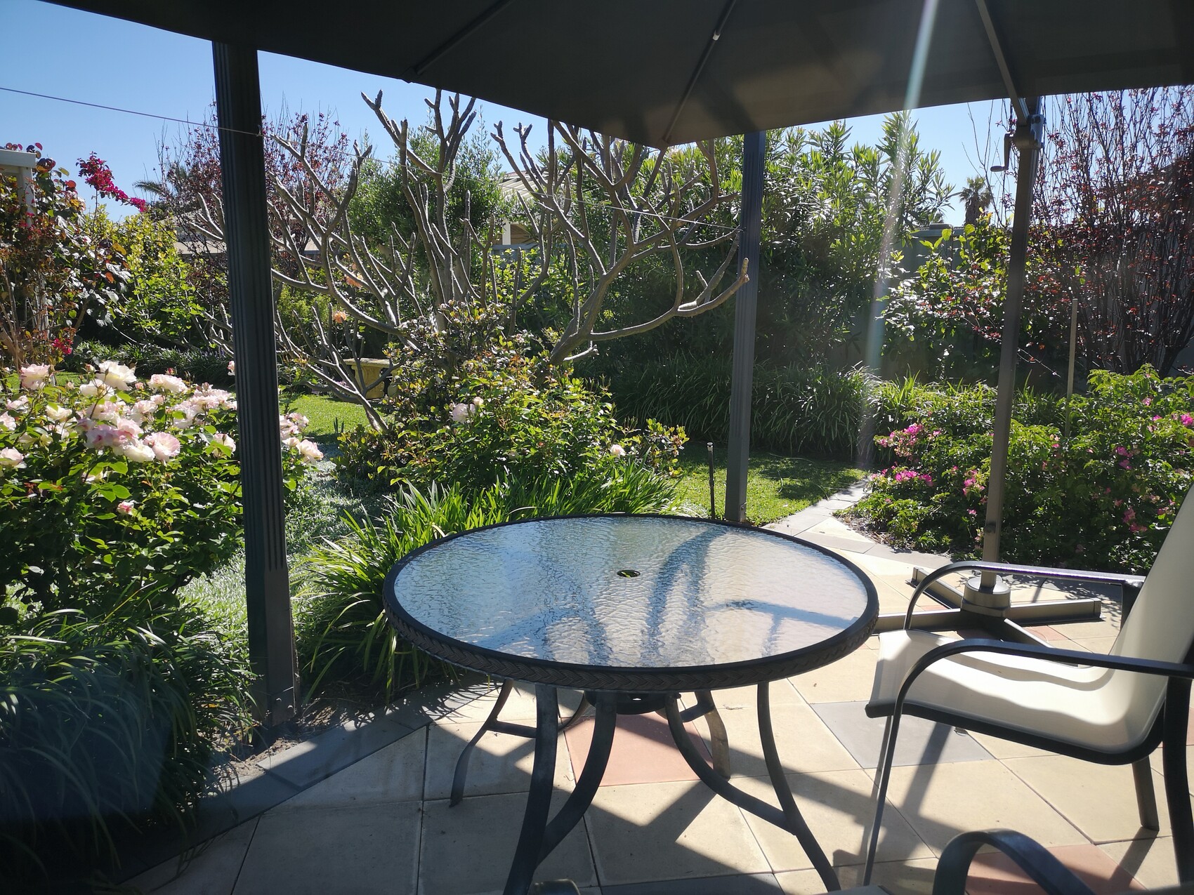 Gartenansicht vom Patio: runder Glastisch unter Sonnenschirm, umliegende Sträucher und Blumen.