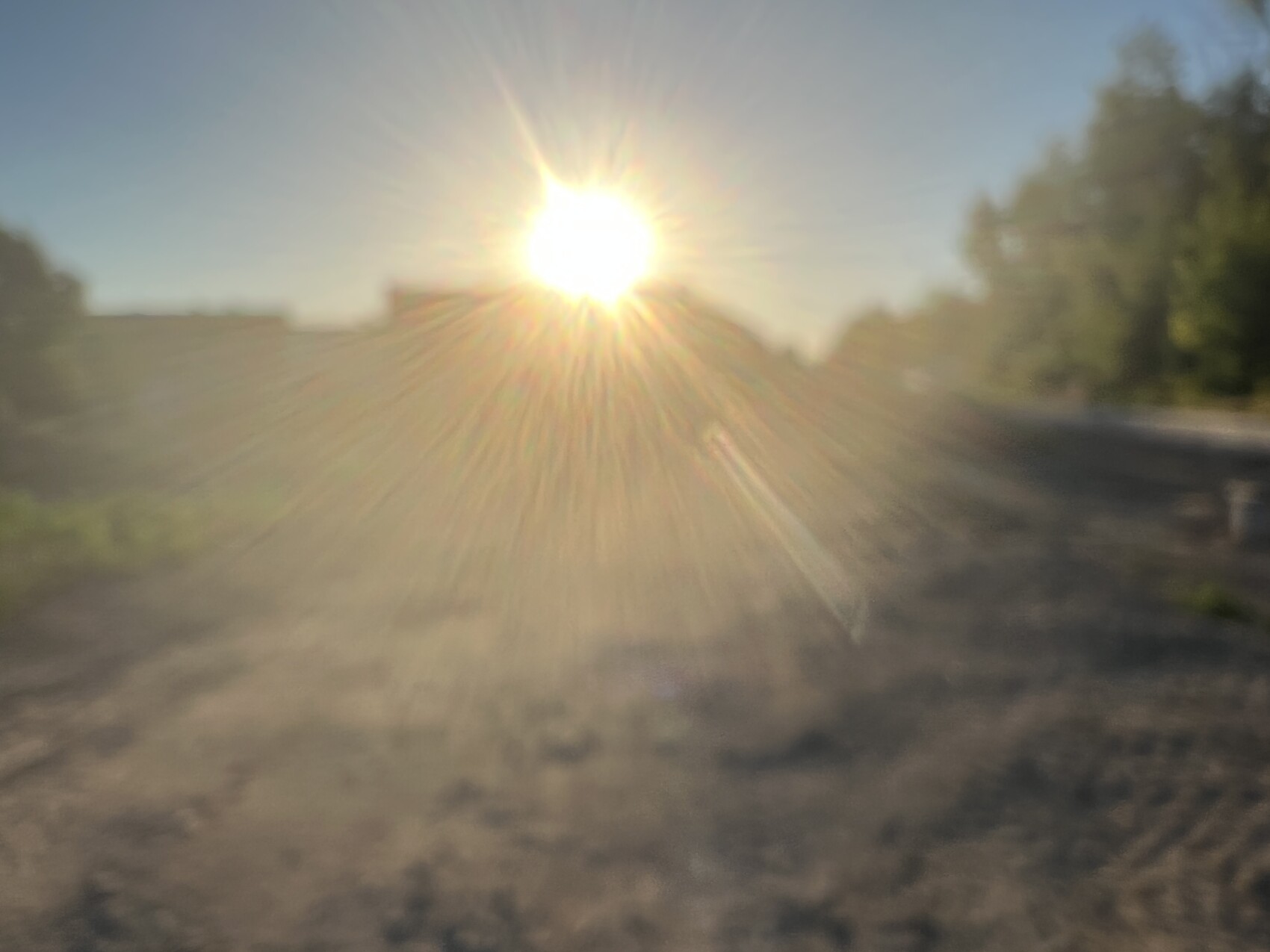 Starke Sonneneinstrahlung erzeugt Linseneffekte über einer unscharfen Straßenszene mit Bäumen am Rand.