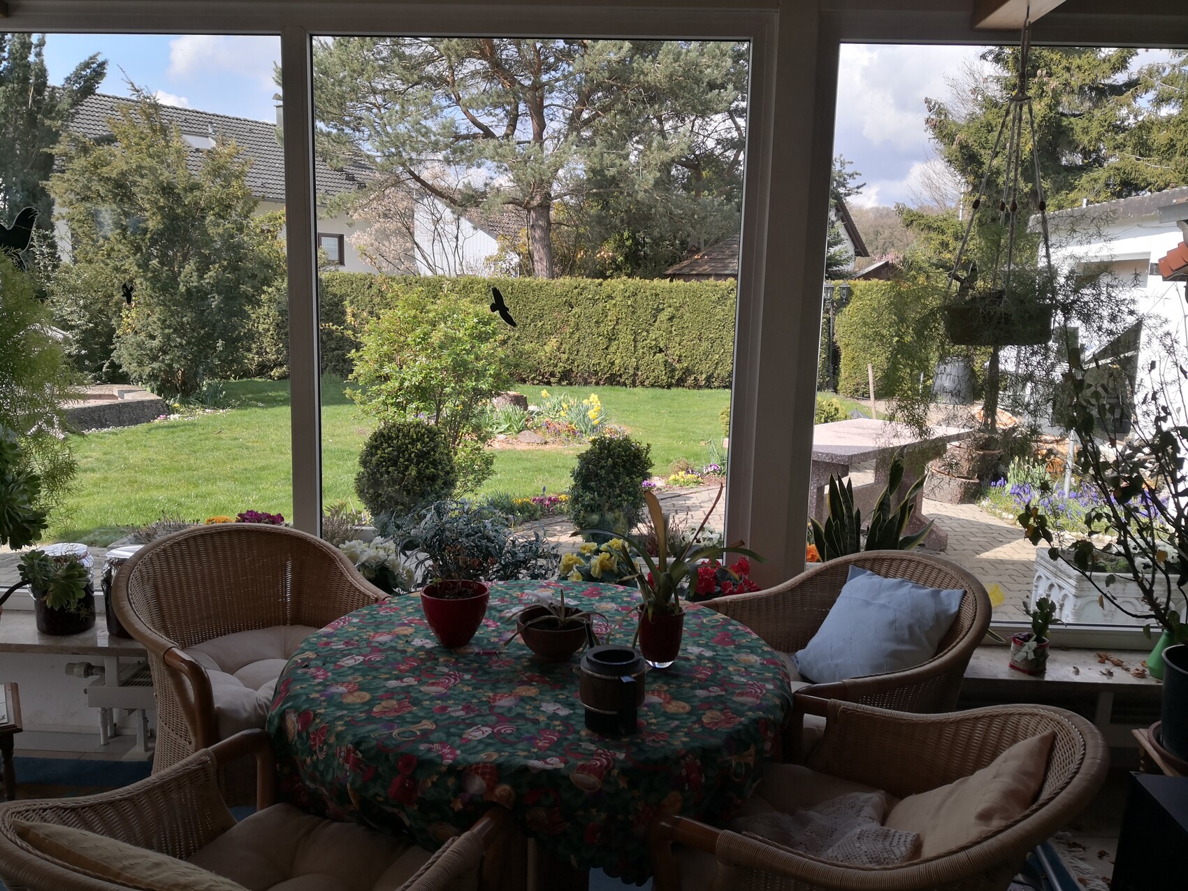 Heller Wintergarten mit rundem Tisch, Korbsesseln und blumiger Tischdecke; Garten draußen, hängende Pflanze.