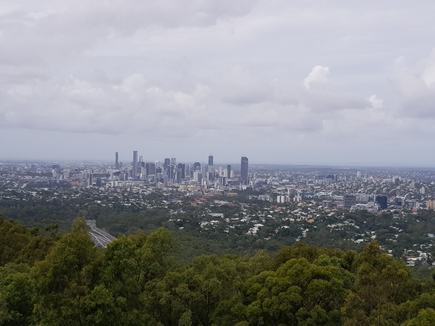 Städtische Skyline mit Hochhäusern am Horizont, Blick von bewaldeten Hügeln im Vordergrund.