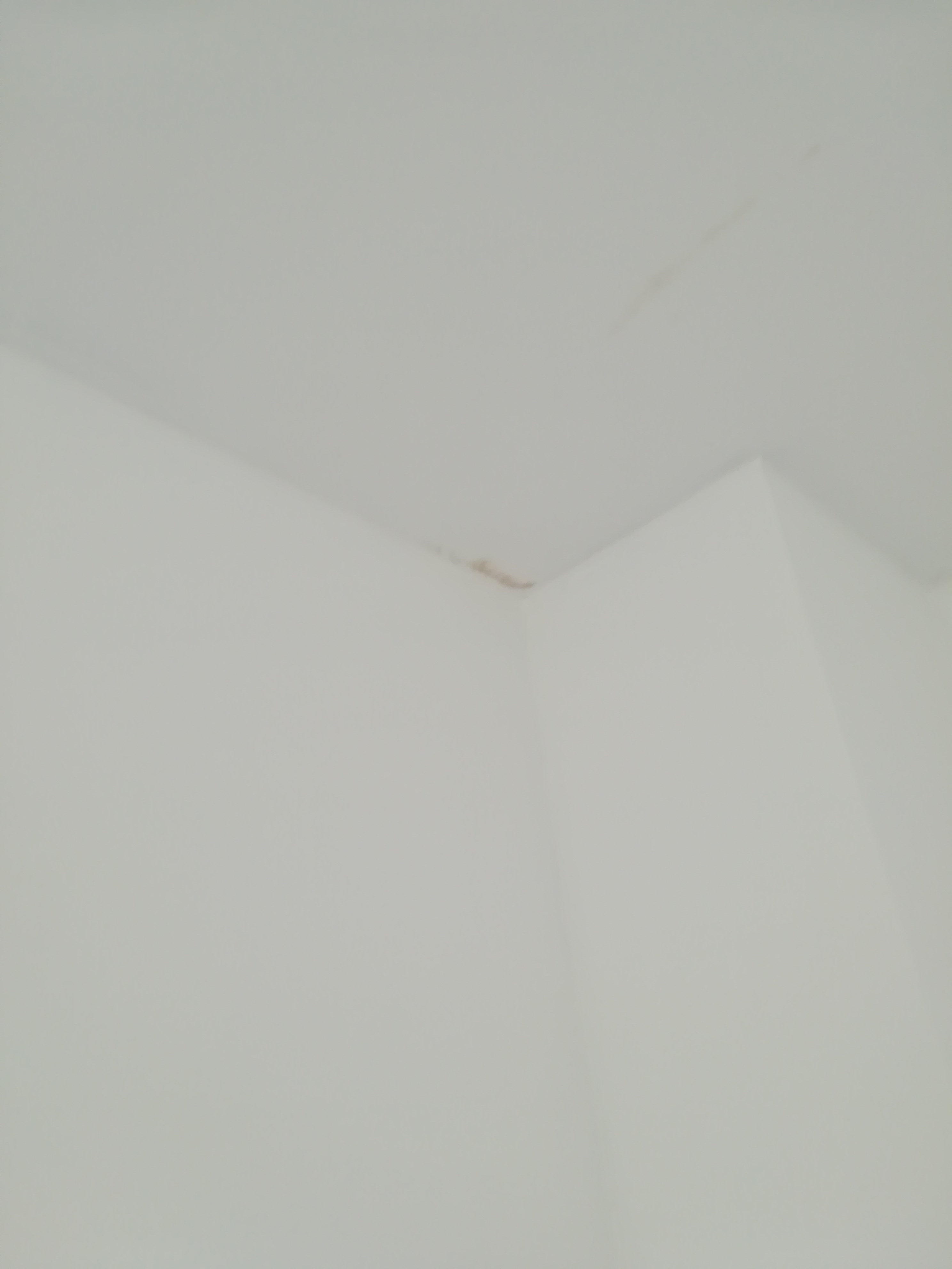 starker-schimmelbefall-bei-zwangsersteigertem-haus-344979-1.jpg