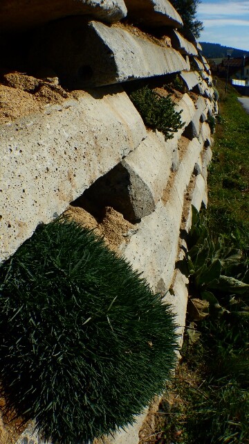 Außenansicht einer rauen Steinmauer im Garten mit Gras und Sträuchern, Straße im Hintergrund
