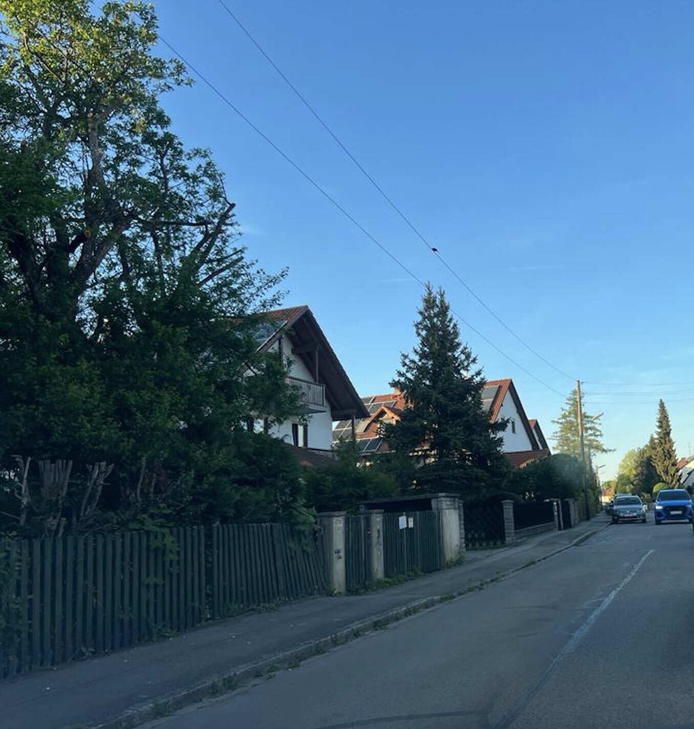 Siedlungsstraße mit Einfamilienhäusern, Zäunen, Bäumen und geparkten Autos.