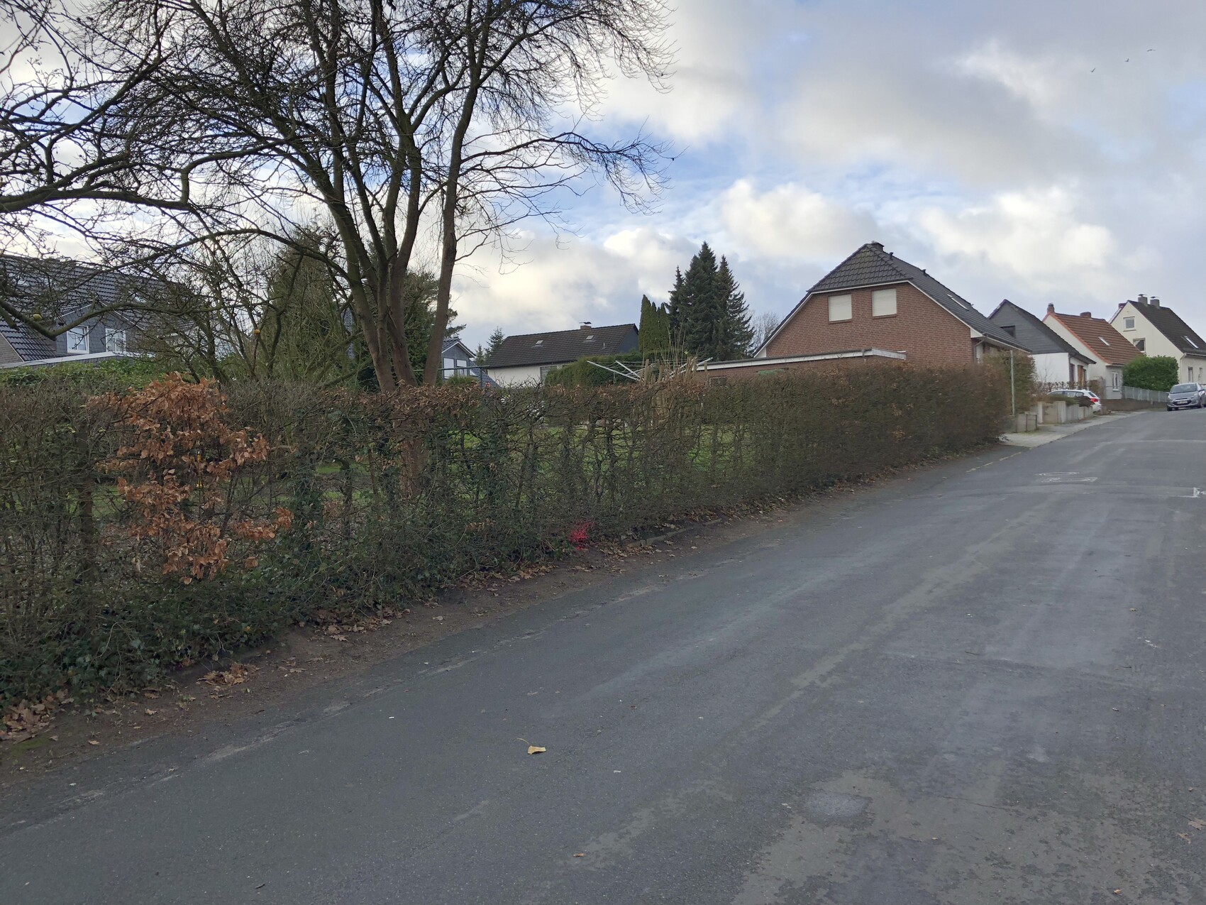 Straßenansicht einer Wohnsiedlung mit Hecken, Bäumen und Häusern.