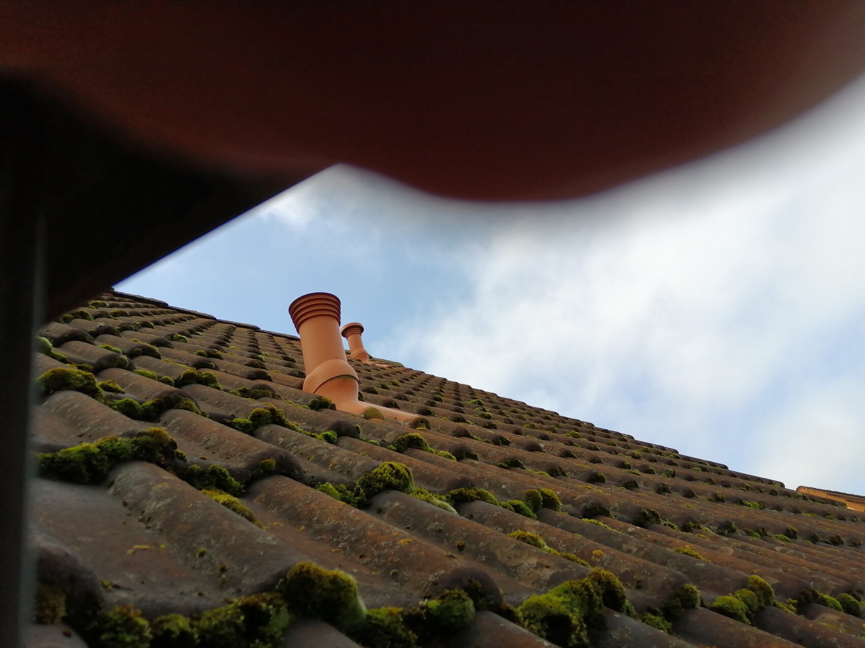 Blick auf terracotta-Dachziegel mit Moosbewuchs und zwei Schornsteinen