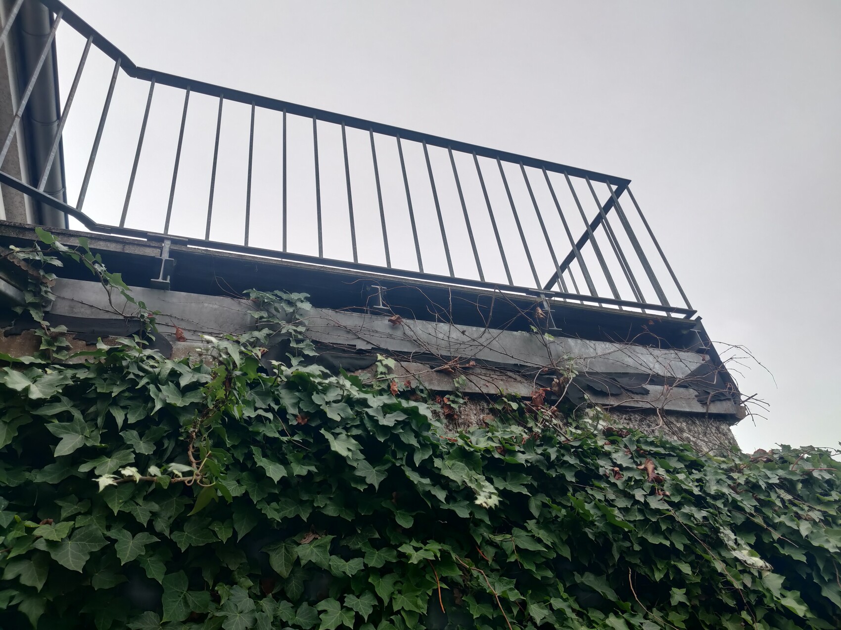 Außenansicht eines Balkons mit Metallgeländer und Efeu