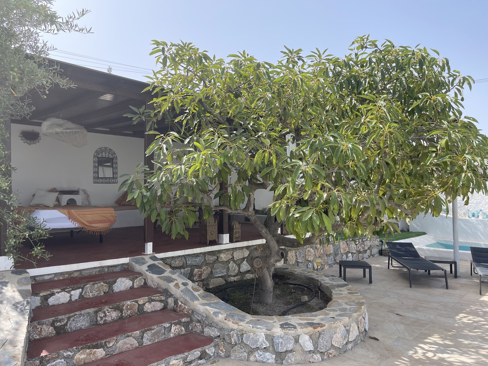 Außenveranda mit Baum im runden Steinpflanzbeet, Liegestühle am Pool, Terrasse.
