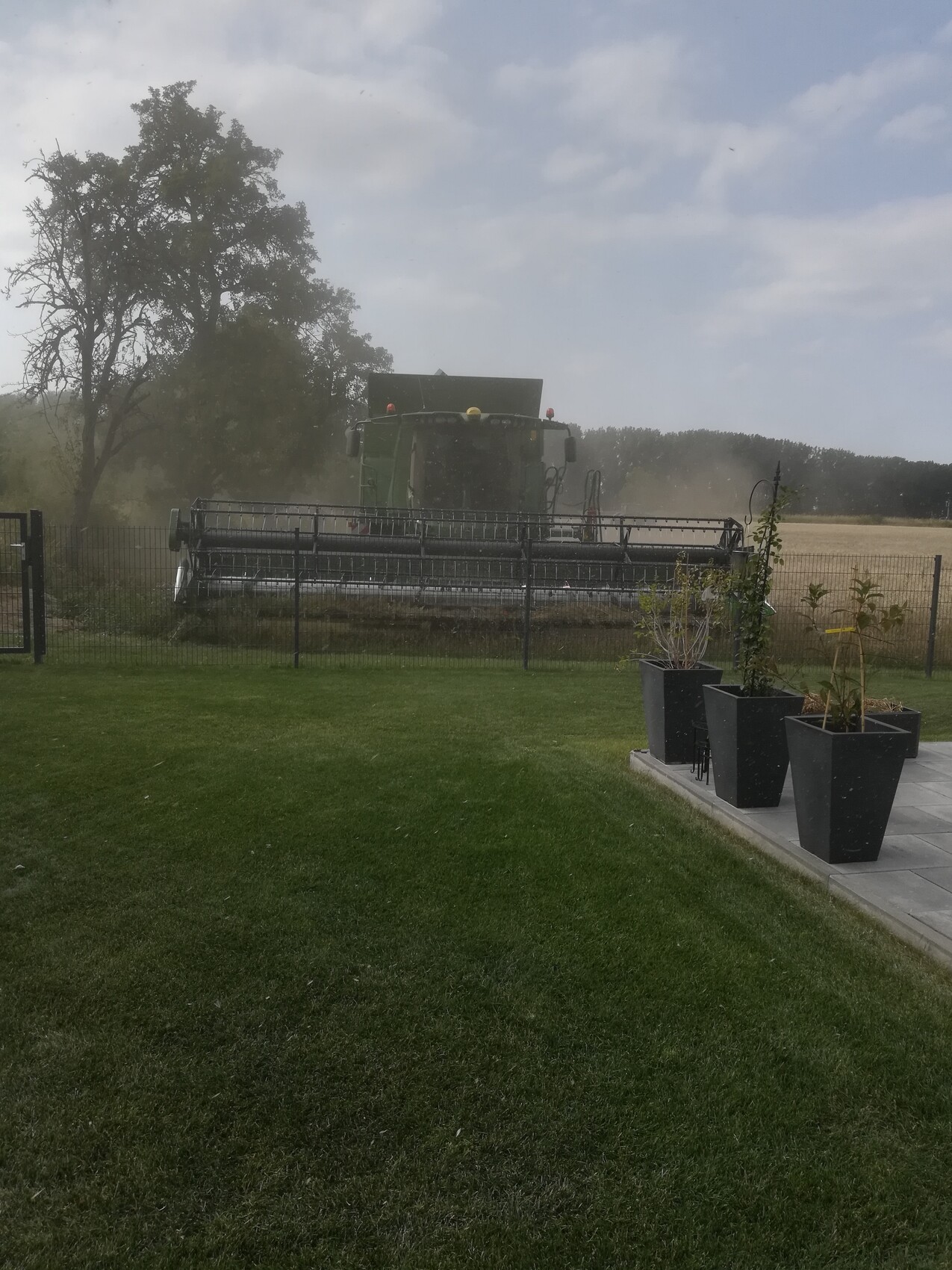Grüner Mähdrescher arbeitet auf Feld hinter Zaun; im Vordergrund Garten mit Pflanzkübeln.