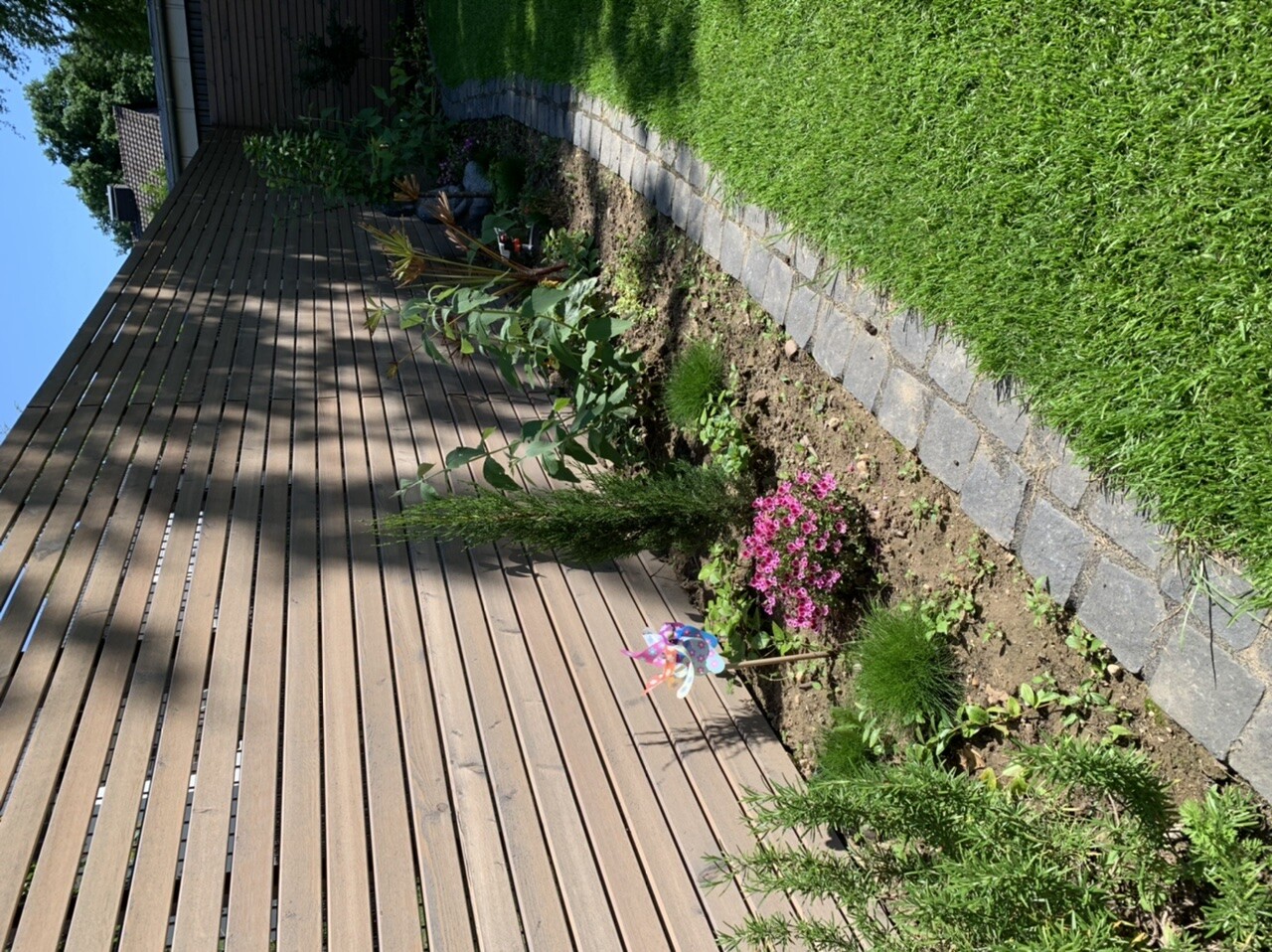 Gartenstreifen neben Holzwand, Beete mit pinken Blüten, Gras und Steinpflasterkante.