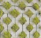 Terrassenpflastermuster mit gruene Moosfuellungen in sechseckigen Feldern