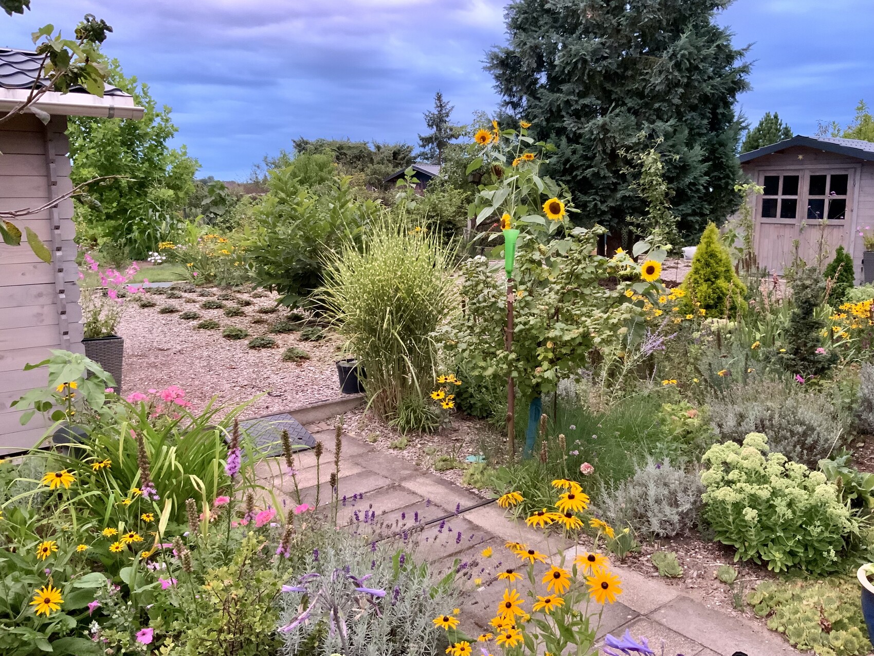 Garten mit bunten Blumen, gelben Sonnenblumen, Kieswegen und Holzhäusern im Hintergrund.