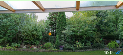 Gartenblick von unter einer überdachten Terrasse mit Bäumen, Sträuchern und Sonnenblume
