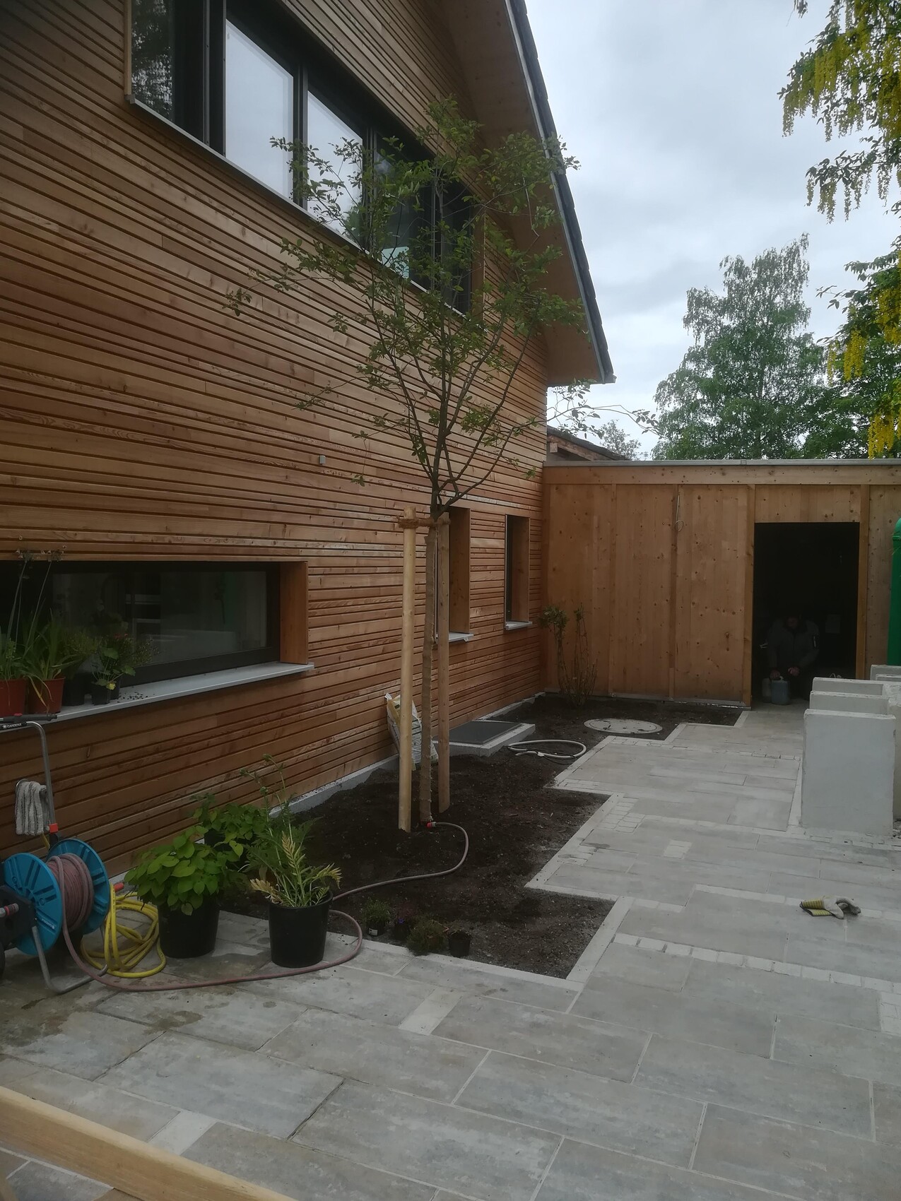 Blick auf Holzfassade eines Hauses, junger Baum mit Stützen, Pflanzbeet und Gartenschlauch.