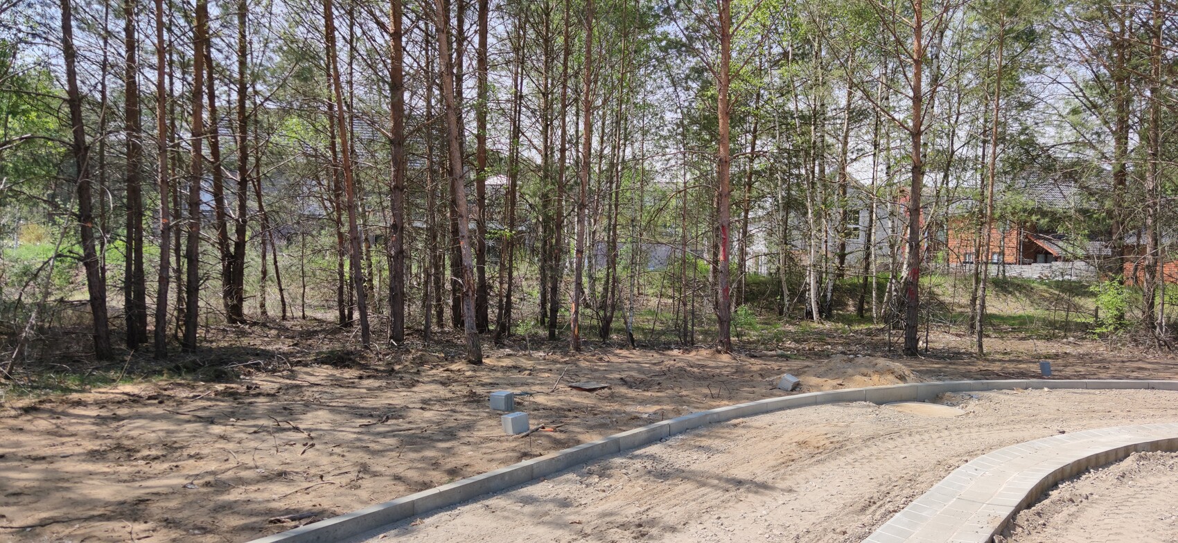 Waldgebiet am Bauareal; kurviger Pflasterrand, Sandboden, Ziegelhäuser im Hintergrund.