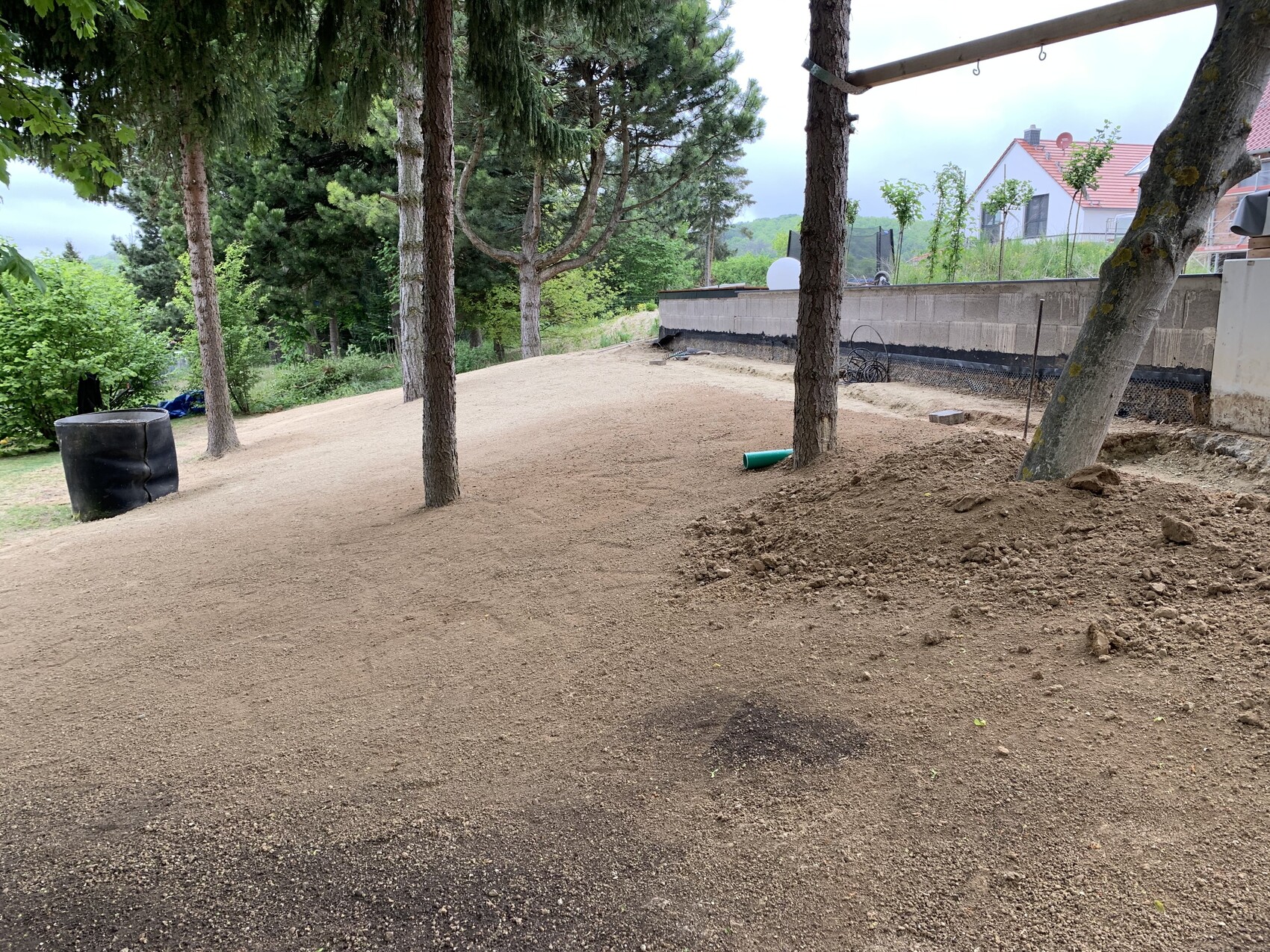 Gartenbereich mit freigelegtem Boden, Bäumen, grünem Rohr und Mauer im Hintergrund.