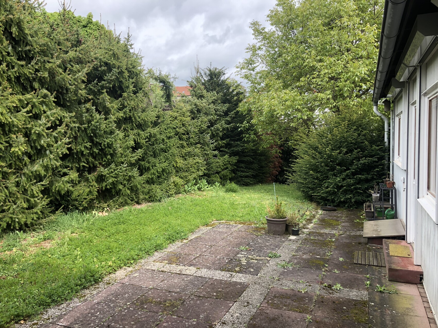 Garten mit gepflasterter Terrasse, Haus rechts, hohe grüne Hecke links, Rasenstreifen, Topfpflanzen.