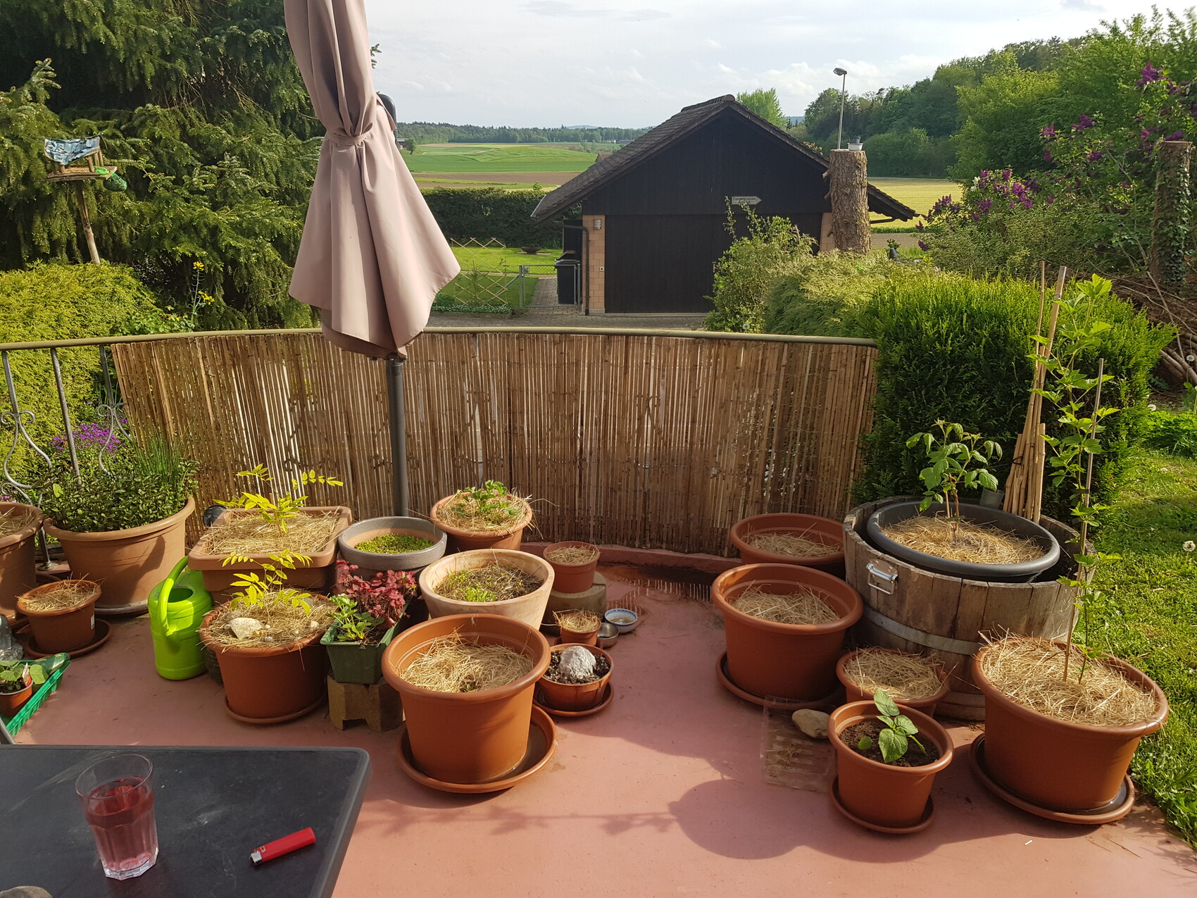 Terrassenfläche mit vielen Töpfen, Sonnenschirm und Blick auf Scheune und Felder.