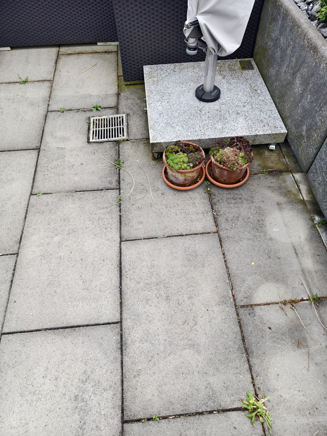 Gepflasterter Patio mit grauen Steinplatten, zwei Terrakotta-Pflanzkübel neben Sonnenschirmständer