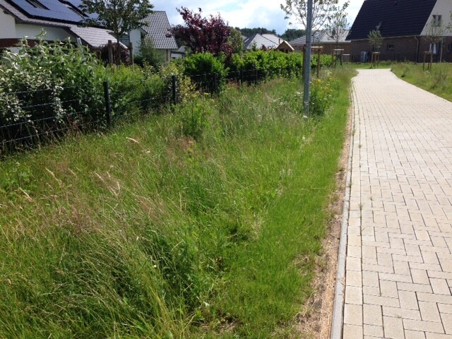 Gepflasterter Gehweg rechts neben einer grasbewachsenen Böschung mit Zaun; Häuser im Hintergrund.