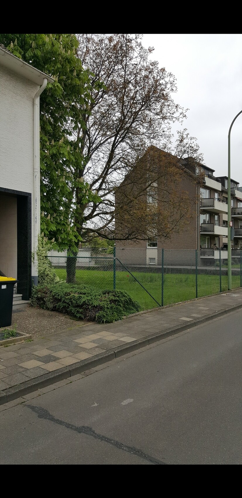 Gehweg neben Drahtzaun, Grasfläche, großer blattarmer Baum, mehrstöckige Häuser im Hintergrund.