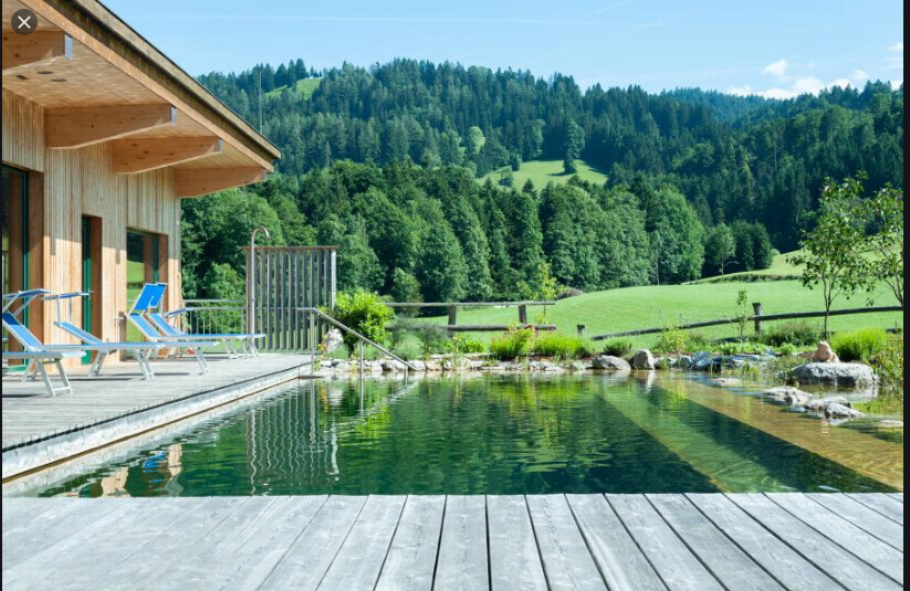Außenpool auf Holzdeck neben Holzhaus, Liegestühle und grüne Waldlandschaft im Hintergrund.